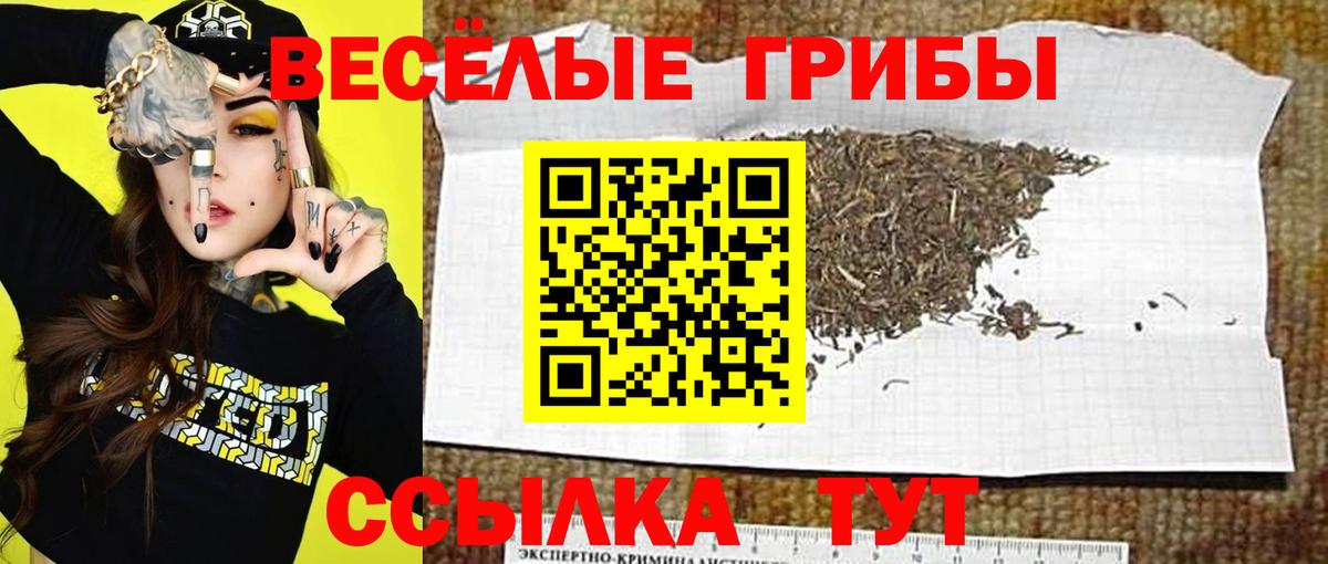 Галлюциногенные грибы GOLDEN TEACHER Кизилюрт